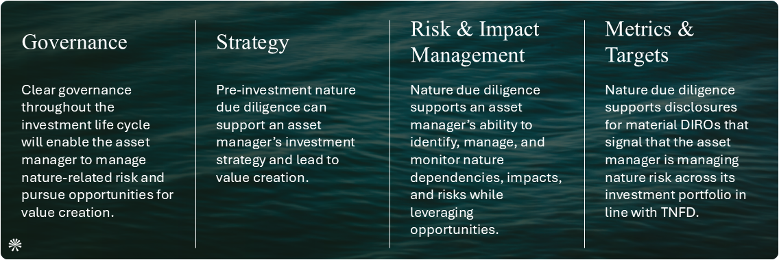 TNFD's four pillars: governance, strategy, risk & impact management, metrics & targets.